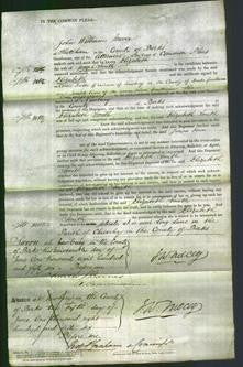 Court of Common Pleas - Elizabeth Smith-Original Ancestry