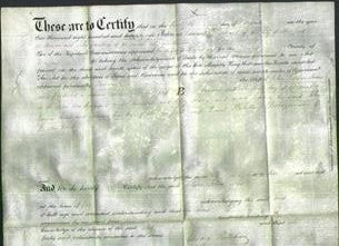 Deed by Married Women - Susan Jones-Original Ancestry