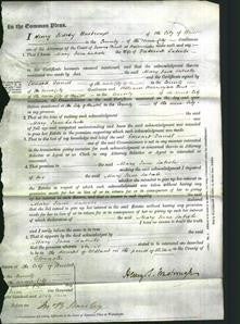 Court of Common Pleas - Mary Jane Latrobe-Original Ancestry