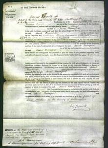 Court of Common Pleas - Sarah Broomfield-Original Ancestry