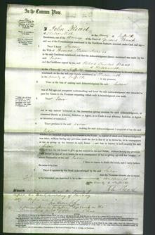 Court of Common Pleas - Susan Jarvis-Original Ancestry