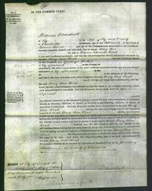 Court of Common Pleas - Mary Ann Read-Original Ancestry