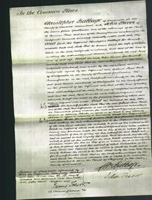 Court of Common Pleas - Jane White-Original Ancestry
