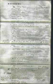 Court of Common Pleas - Mary Jane Smith-Original Ancestry