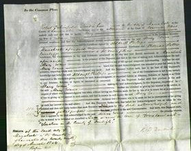 Court of Common Pleas - Mary Evans-Original Ancestry