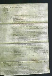 Court of Common Pleas - Mary Brown-Original Ancestry