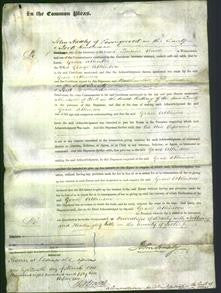 Court of Common Pleas - Grace Atkinson-Original Ancestry