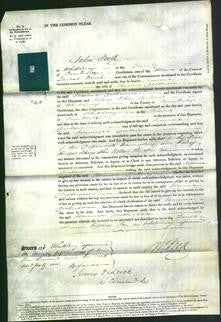 Court of Common Pleas - Jemima Dickenson-Original Ancestry
