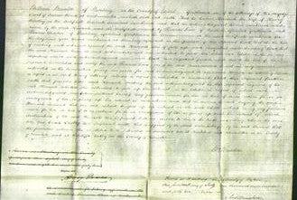 Court of Common Pleas - Hannah Beesley-Original Ancestry