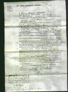 Court of Common Pleas - Jane Reade-Original Ancestry
