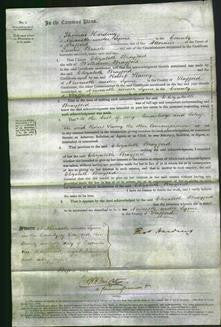 Court of Common Pleas - Elizabeth Brayford-Original Ancestry