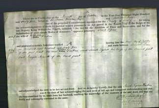 Deed by Married Women - Sarah Topliss Parkin-Original Ancestry