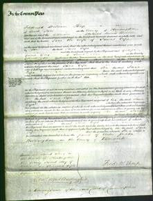 Court of Common Pleas - Jane Cope-Original Ancestry