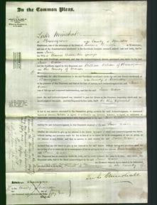 Court of Common Pleas - Jane Dixon-Original Ancestry