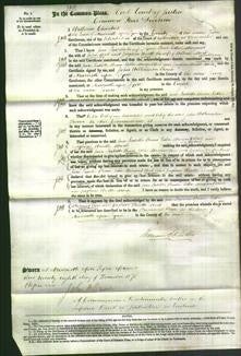 Court of Common Pleas - Jane Isabella Brown, Esther Margaret Hood and Josephine Wardle Mark-Original Ancestry