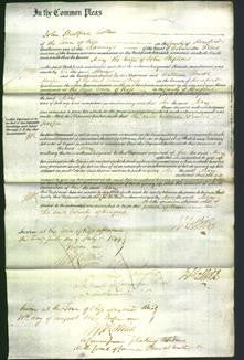 Court of Common Pleas - Mary Stephens-Original Ancestry