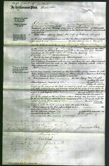 Court of Common Pleas - Mary Jane Knight-Original Ancestry