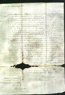 Court of Common Pleas - Elizabeth Williamson and Mary Holdich-Original Ancestry