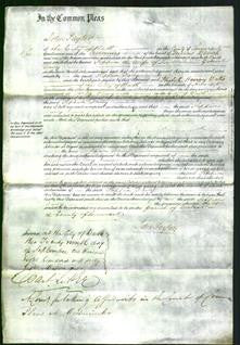 Court of Common Pleas - Sophia Davy-Original Ancestry