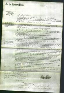 Court of Common Pleas - Elizabeth Jordan-Original Ancestry