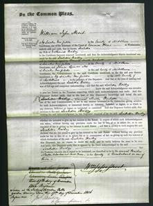 Court of Common Pleas - Isabella Bailey-Original Ancestry