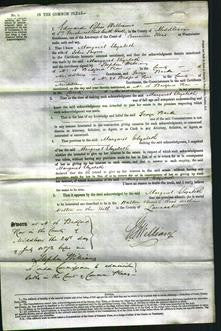 Court of Common Pleas - Margaret Elizabeth Payne-Original Ancestry