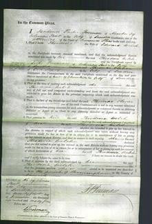 Court of Common Pleas - Theodosia Welch-Original Ancestry