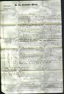 Court of Common Pleas - Catherine Bailey-Original Ancestry
