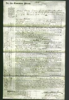 Court of Common Pleas - Right Honorable Mary Elizabeth Lady Vivian-Original Ancestry