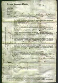 Court of Common Pleas - Ann Sophia Cove-Original Ancestry