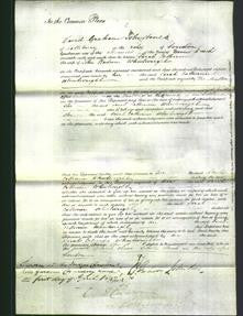Court of Common Pleas - Sarah Catharine Wheelwright-Original Ancestry