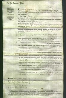 Court of Common Pleas - Mary Keil-Original Ancestry