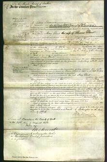 Court of Common Pleas - Mary Eland-Original Ancestry