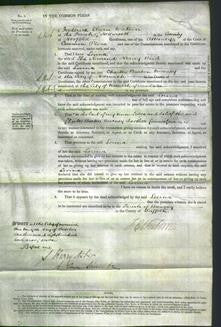 Court of Common Pleas - Louisa Bird-Original Ancestry
