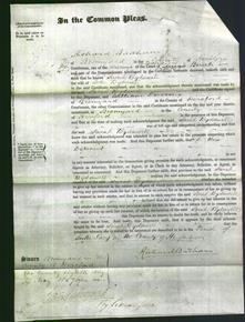 Court of Common Pleas - Sarah Bydawell