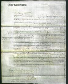 Court of Common Pleas - Esther Whitehurst and Mary Riley-Original Ancestry