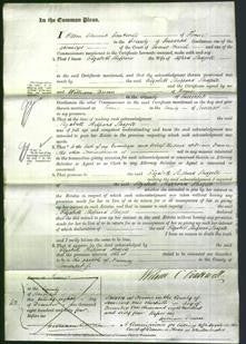 Court of Common Pleas - Elizabeth Sheppard Sloagell-Original Ancestry