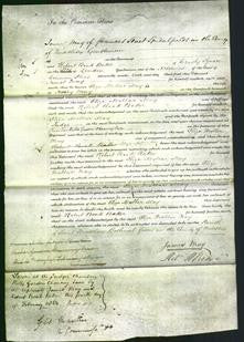 Court of Common Pleas - Eliza Mollar May-Original Ancestry