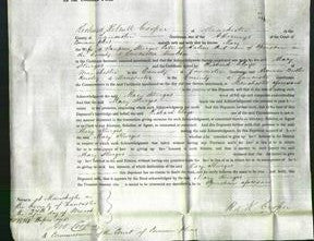 Court of Common Pleas - Mary Sturges-Original Ancestry