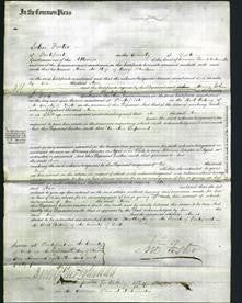 Court of Common Pleas - Ann Malkin-Original Ancestry