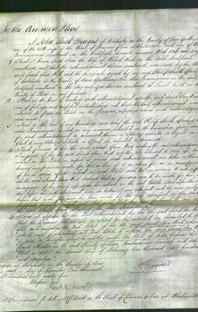 Court of Common Pleas - Sarah Ann Reed-Original Ancestry