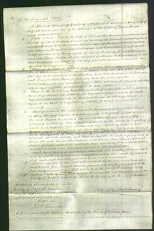 Court of Common Pleas - Louisa Buckenham and Emma Jane Limmer-Original Ancestry