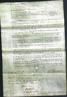 Court of Common Pleas - Sarah Kilsby-Original Ancestry