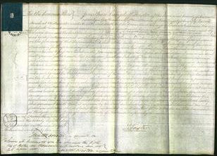 Court of Common Pleas - Ann Neilson-Original Ancestry