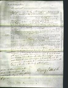 Court of Common Pleas - Elizabeth Rowe-Original Ancestry