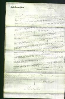 Court of Common Pleas - Mary Jones-Original Ancestry