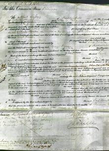 Court of Common Pleas - Sarah Thornton-Original Ancestry