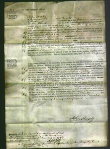 Court of Common Pleas - Ann May and Ellen Brown-Original Ancestry