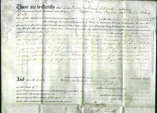 Deed by Married Women - Sophia Davy-Original Ancestry