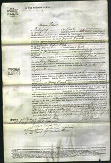 Court of Common Pleas - Mary Frank-Original Ancestry